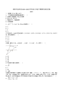 四川省绵阳市盐亭县2024-2025学年七年级下学期6月期末考试数学试卷(含答案)