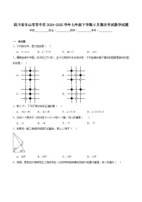 四川省乐山市市中区2024-2025学年七年级下学期6月期末考试数学试卷(含解析)