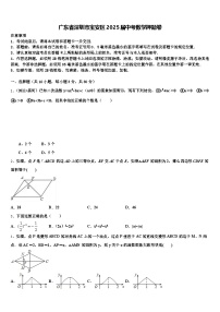 广东省深圳市宝安区2025届中考数学押题卷含解析