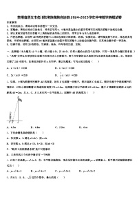 贵州省遵义市务川仡佬族苗族自治县2024-2025学年中考数学四模试卷含解析