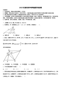 2025年通许县中考押题数学预测卷含解析