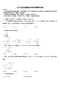 2025年山东省聊城市中考冲刺卷数学试题含解析