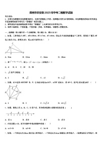漳州市华安县2025年中考二模数学试题含解析