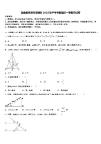 湖南省株洲市荷塘区2025年中考考前最后一卷数学试卷含解析