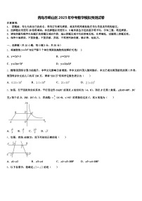 青岛市崂山区2025年中考数学模拟预测试卷含解析