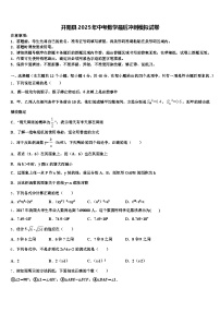 开阳县2025年中考数学最后冲刺模拟试卷含解析