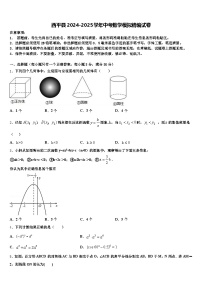 西平县2024-2025学年中考数学模拟精编试卷含解析