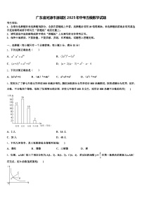 广东省河源市源城区2025年中考五模数学试题含解析