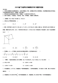 2025届广东省肇庆市高要区中考三模数学试题含解析