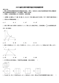 2025届武义县中考数学最后冲刺浓缩精华卷含解析