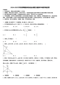 2024-2025学年阿坝藏族羌族自治州若尔盖县中考数学模试卷含解析