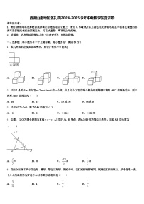西藏山南地区洛扎县2024-2025学年中考数学仿真试卷含解析