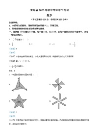 2025年青海省中考数学试卷（原卷＋解析）