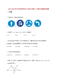 2024_2025学年江苏省苏州市八年级上学期11月期中考试数学检测试卷（含答案）