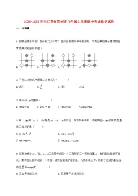 2024_2025学年江苏省苏州市八年级上学期期中考试数学检测试卷（含答案）