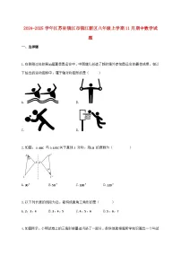 2024_2025学年江苏省镇江市镇江新区八年级上学期11月期中数学检测试卷（含答案）
