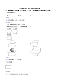 山东省潍坊市2025年中考数学真题附同步解析答案