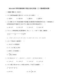2024-2025学年河南省周口市沈丘县七年级（上）期末数学试卷含答案