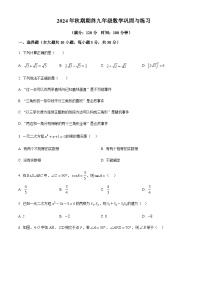 2024-2025学年河南省南阳市内乡县九年级上学期1月期末考试数学试题含答案