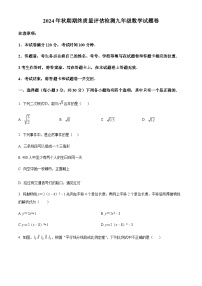 2024-2025学年河南省南阳市宛城区九年级上学期期末数学试题含答案