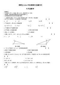 2024-2025学年河南省南阳市新野县九年级上学期数学期末考试题含答案