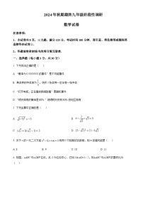 2024-2025学年河南省南阳市淅川县九年级上学期1月期末数学试题含答案