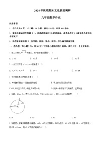 2024-2025学年河南省南阳市西峡县九年级上学期1月期末考试数学试题含答案