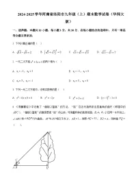 2024-2025学年河南省洛阳市九年级上学期期末数学试卷含答案
