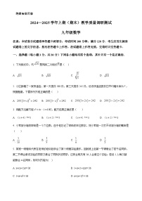 2024-2025学年河南省鹤壁市九年级上学期数学期末测试卷含答案