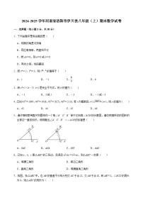 2024-2025学年河南省洛阳市伊川县八年级（上）期末数学试卷含答案