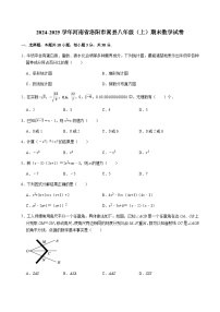 2024-2025学年河南省洛阳市嵩县八年级（上）期末数学试卷含答案