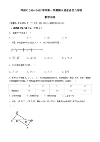河南省南阳市邓州市2024-2025学年八年级上学期1月期末考试数学试题含答案