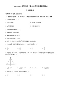 河南省鹤壁市2024-2025学年八年级上学期数学期末测试卷含答案