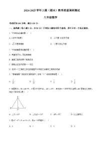 河南省鹤壁市2024-2025学年八年级上学期数学期末测试卷含答案