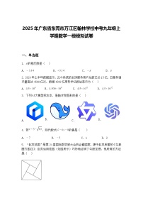 2025年广东省东莞市万江区翰林学校中考九年级上学期数学一模模拟试卷（含答案解析）