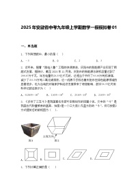 2025年安徽省中考九年级上学期数学一模模拟卷01（含答案解析）