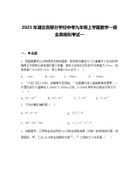 2025年湖北省部分学校中考九年级上学期数学一模全真模拟考试一（含答案解析）