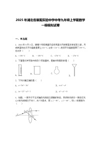 2025年湖北省襄阳实验中学中考九年级上学期数学一模模拟试卷（含答案解析）