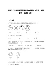 2025年山东省临沂市罗庄区中考模拟九年级上学期数学一模试题（二）（含答案解析）