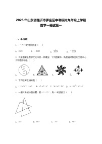 2025年山东省临沂市罗庄区中考模拟九年级上学期数学一模试题一（含答案解析）