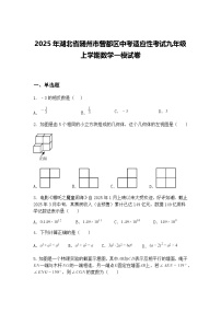 2025年湖北省随州市曾都区中考适应性考试九年级上学期数学一模试卷（含答案解析）