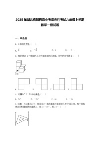 2025年湖北省郧西县中考适应性考试九年级上学期数学一模试题（含答案解析）