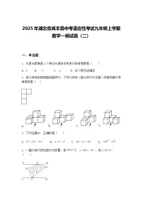 2025年湖北省咸丰县中考适应性考试九年级上学期数学一模试题（二）（含答案解析）