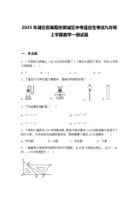2025年湖北省襄阳市樊城区中考适应性考试九年级上学期数学一模试题（含答案解析）