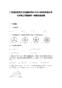 广东省东莞市万江区翰林学校2025年初中学业水平九年级上学期数学一模模拟测试卷（含答案解析）