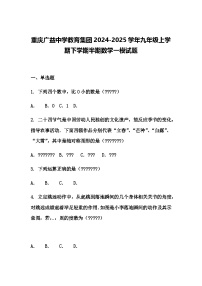 重庆广益中学教育集团2024-2025学年九年级上学期下学期半期数学一模试题（含答案解析）