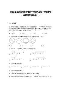 2025年湖北省初中学业水平考试九年级上学期数学一模适应性测试卷(一)（含答案解析）