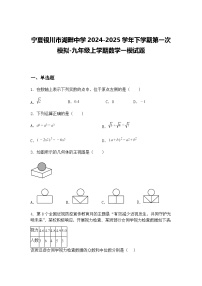 宁夏银川市湖畔中学2024-2025学年下学期第一次模拟-九年级上学期数学一模试题（含答案解析）