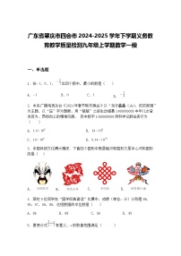 广东省肇庆市四会市2024-2025学年下学期义务教育教学质量检测九年级上学期数学一模（含答案解析）