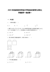 2025年安徽省初中学业水平考试名校联考九年级上学期数学一模试卷一（含答案解析）